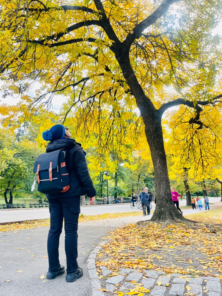 Photo taken by Daniela Senatore at Central Park, NYC