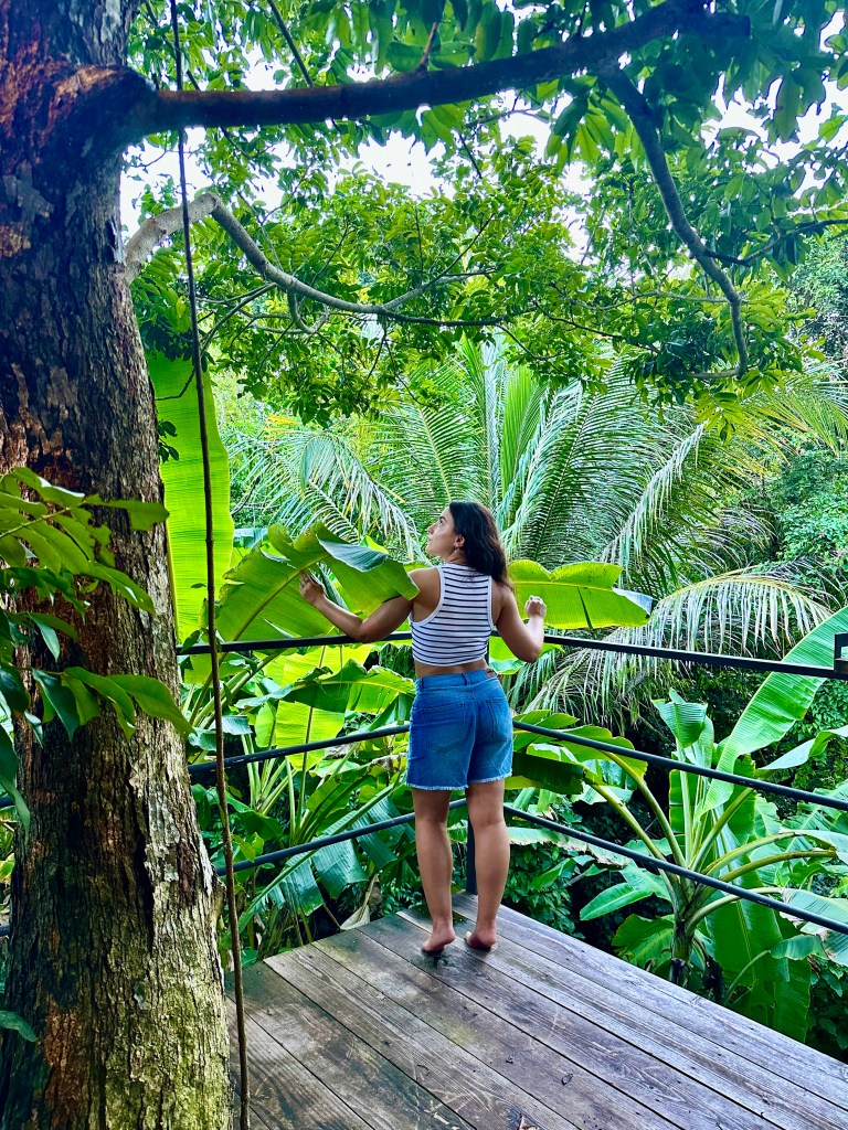 Photo taken by Camila Vera at Finca Victoria - Vieques, Puerto Rico